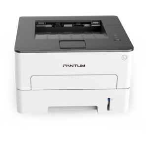 Pantum P3010D (принтер, лазерный, монохромный, А4, 30 стр/мин, 1200 X 1200 dpi)